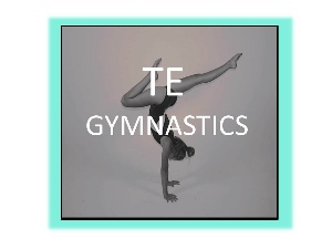 TEAM ELITE GYMNASTICS